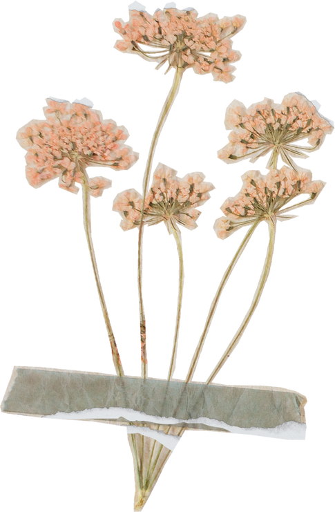 Vintage Feminine Romantic Taped Flowers Cutout